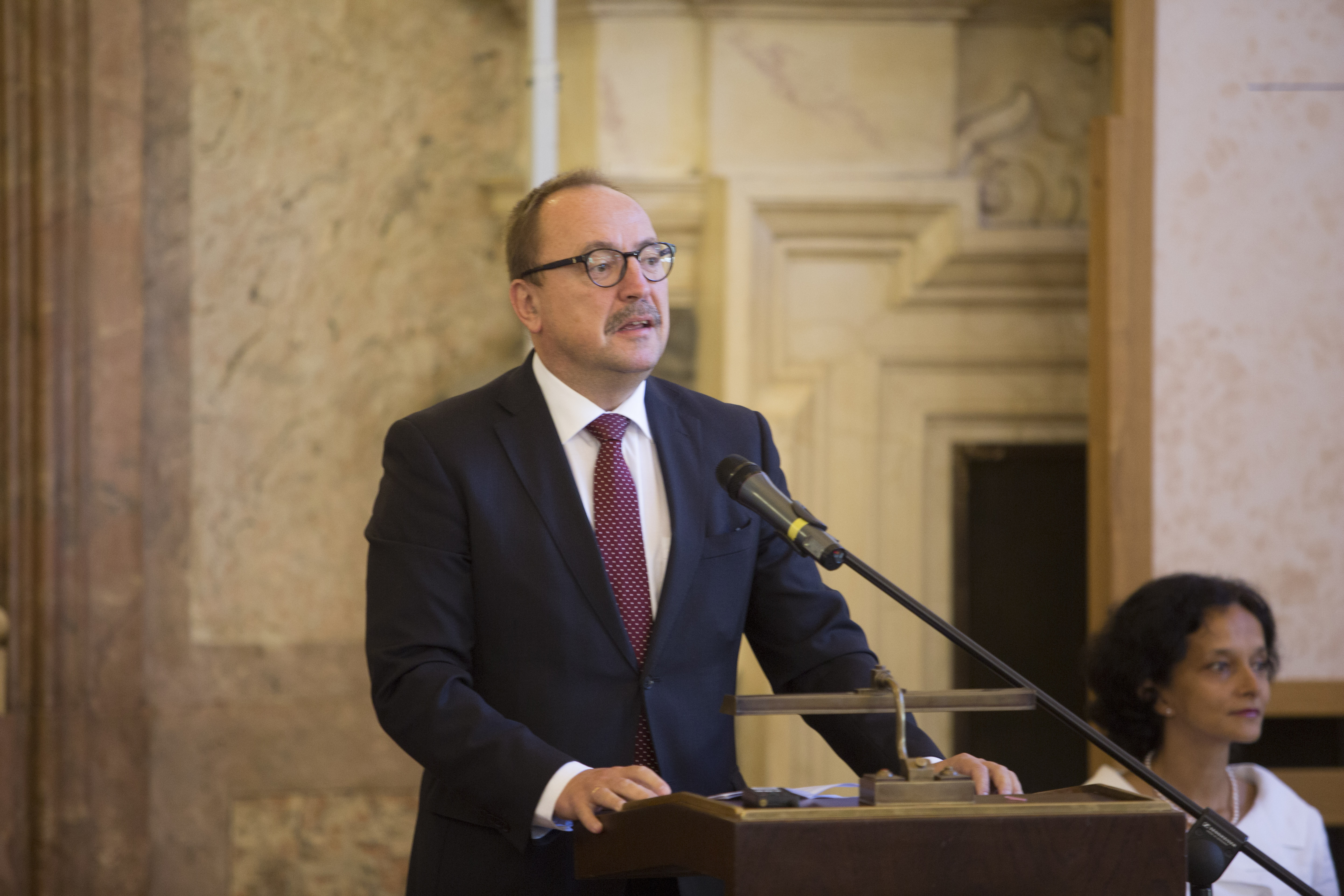 Németh Zsolt, a Külügyi Bizottság elnöke